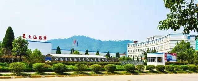 视察3.jpg